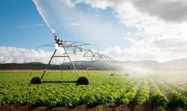the drinking water club water for agriculture services