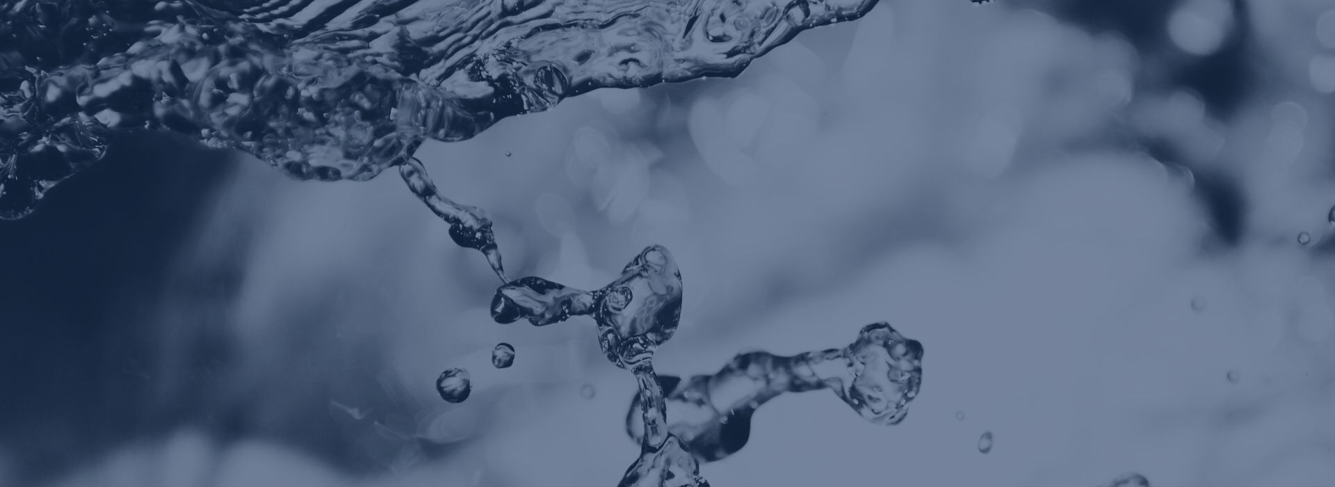the drinking water club water quality